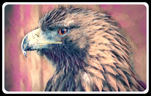 Load image into Gallery viewer, Get The Beak In: 'Eagle-Beak' Classic T-Shirt